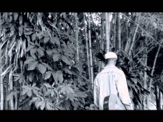 Ainda Verei o Sol Nascer – Costa Neto