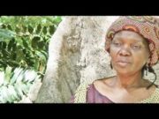 Tindjombo – Elsa Mangue