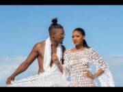 Malandro e Safado – Celso Notiço