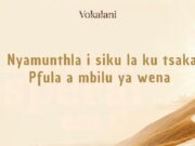 Ngena Tepeleni – Vokalani